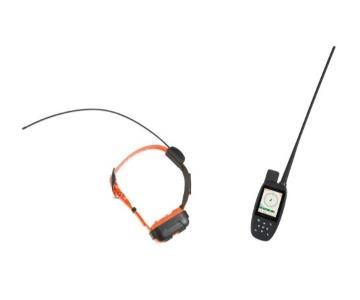 Collier chien gps telecommande collier rappel vente promo web