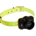 Collier reperage sonore pour chien collier localisation chien pas cher
