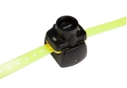 Collier reperage sonore pour chien collier localisation chien vente prix pas cher