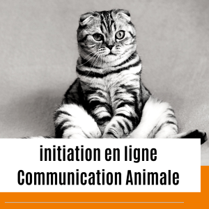 Communication animale formation a distance formation presentiel cahors lot 46