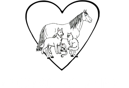 53 Animal Communication - Laval Château-Gontier