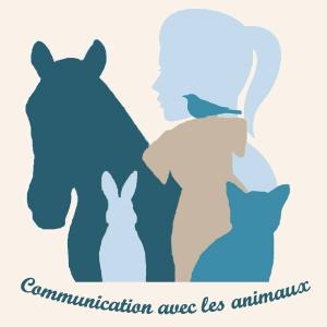 59 Animal Communication & Animal Reiki - Lille