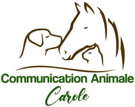 69 Animal Communication - Lyon