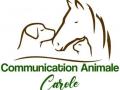 Communication animale lyon communicatrice animaliere villeurbanne rhone 69