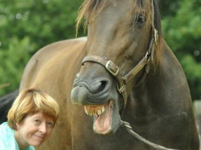 Communication animale rennes communicant animalier ille et vilaine reiki 35