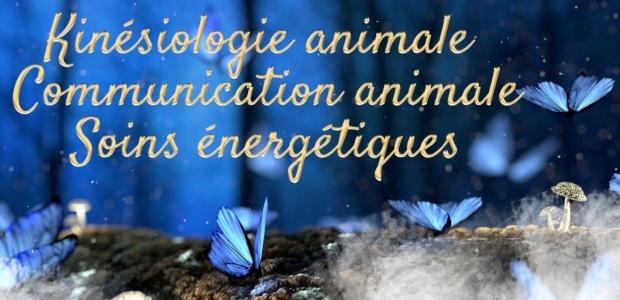 Comportementaliste animalier communication animale nimes gard 30