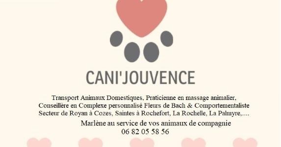 Comportementaliste canin felin soin animalier fleurs de bach la rochelle rochefort royan charente maritime 17