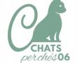 Comportementaliste felin nice psy pour chat monaco comportementalisme felin alpes maritimes 06 