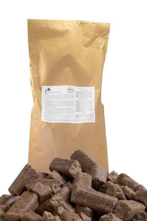 Pets blog, news, promos
