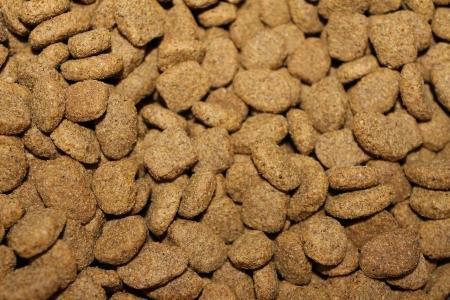 Grain-free dog kibble, Grain-free cat kibble