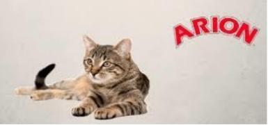 Croquettes chat croquettes naturelles chat viande fraiche croquette chat premium