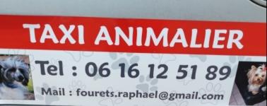 Delivery of kibble at home paris ile de france france