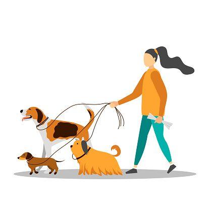 Dog sitter dog sitting garde de chien france dom tom