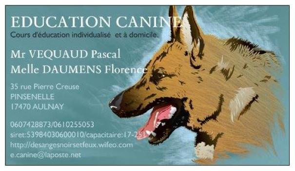 17 Dog education & behaviorism - Aulnay Saintes
