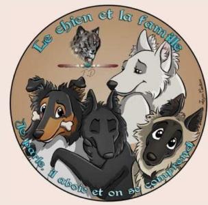 49 Education canine & Comportementaliste - Angers Saumur