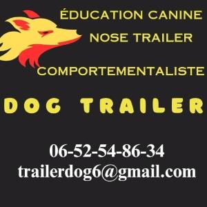 Educateur canin angers education canine cholet coach canin maine et loire