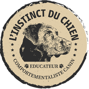 16 Canine Education & Behaviorist - Angoulême