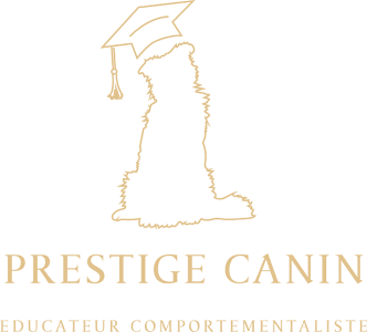 Educateur canin annecy education canine haute savoie dresseur de chien 74 agility chien cani rando coach canin