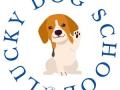 Educateur canin argenteuil education canine cergy pontoise val d oise 95 