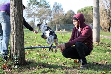 Educateur canin auch comportementaliste chien gers dresseur de chien