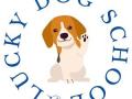 Educateur canin boulogne billancourt education canine hauts de seine 92