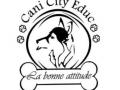 Educateur canin bourges education canine vierzon comportementaliste canin cher 18 