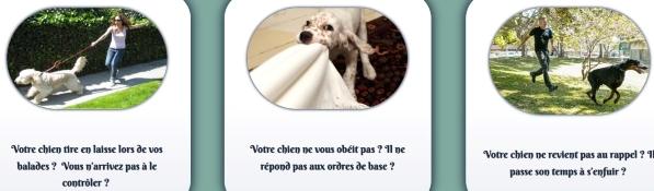 Educateur canin cergy education canine magny en vexin dresseur de chien val d oise cani rando