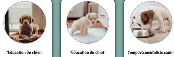 Educateur canin cergy education canine magny en vexin dresseur de chien val d oise cani rando 95