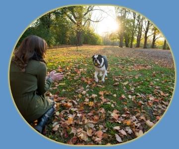 Educateur canin chartres education canine dreux cani rando eure et loir 28