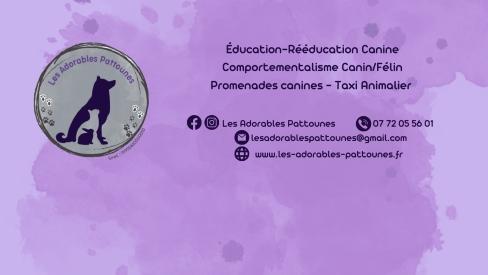 Educateur canin comportementaliste canin education canine educateur chien adulte ecole du chiot le puy en velay yssingeaux haute loire 43