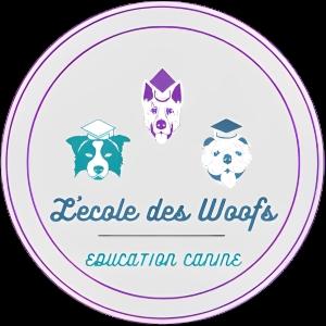 40 Education canine & Comportementaliste - Dax Mimizan