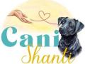 Educateur canin dinan coach canin saint cast le guildo comportementaliste canin cotes d armor 22 