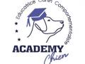 Educateur canin dresseur de chien educateur chien adulte educateur chiot comportementaliste canin toulouse haute garonne 31 