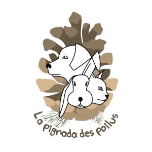 40 Education canine & Agility loisir - Mont-de-Marsan