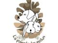 Educateur canin education canine agility mont de marsan dax mimizan biscarrosse landes 40 