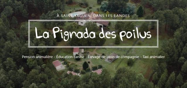 Educateur canin education canine agility mont de marsan dax mimizan biscarrosse landes 40