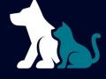 Educateur canin education canine comportementalisme animalier nantes loire atlantique 44