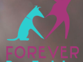 Educateur canin education canine comportementaliste animalier paris argenteuil val d oise 95 ile de france 