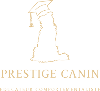 Educateur canin education canine comportementaliste canin dreux nogent le roi eure et loir