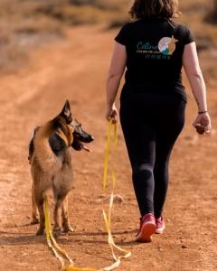 Educateur canin education canine dresseur de chien comportementaliste canin aix en provence marseille bouches du rhone 13
