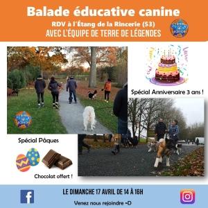 Educateur canin education canine dresseur de chien comportementaliste canin angers maine et loire 49 1