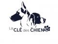 Educateur canin education canine dresseur de chien comportementaliste canin anglet bayonne pyrenees atlantiques 64 