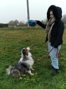 Educateur canin education canine dresseur de chien comportementaliste canin aubigny sur nere cher 18 1