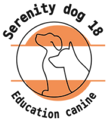 18 Dog education, Behaviourism - Aubigny-sur-Nère