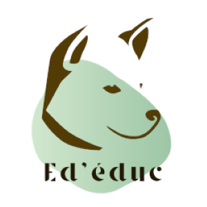 33 Education canine & Comportementaliste - Bordeaux
