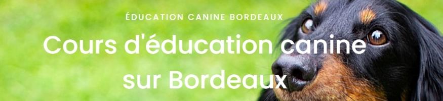Educateur canin education canine dresseur de chien comportementaliste canin bordeaux gironde 33