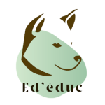 Educateur canin education canine dresseur de chien comportementaliste canin bordeaux gironde 33