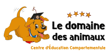 Educateur canin education canine dresseur de chien comportementaliste canin bordeaux gironde 34