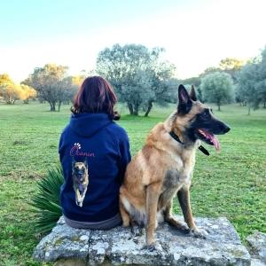 Educateur canin education canine dresseur de chien comportementaliste canin cannes alpes maritimes 06 2