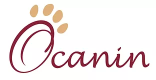 06 Education canine, Comportementaliste - Cannes